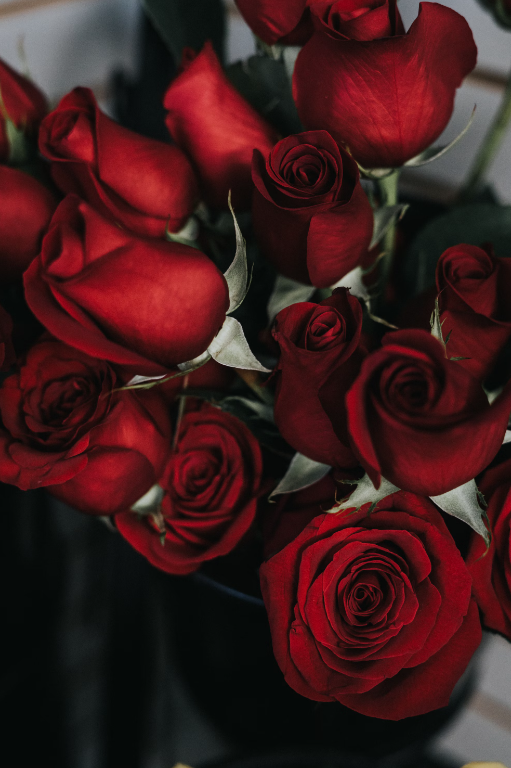 Bulk Roses - 80 Stems
